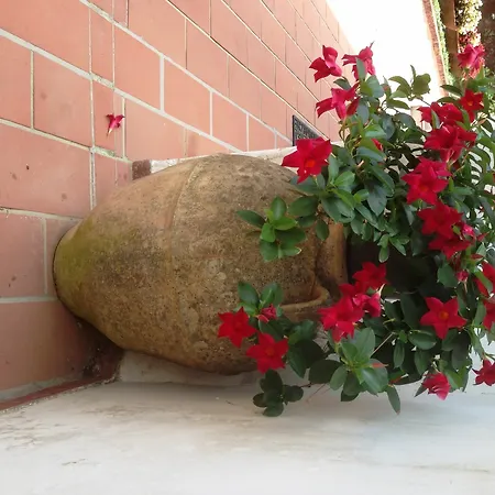 Mediterraneo Bed & Breakfast Anacapri (Isola di Capri)