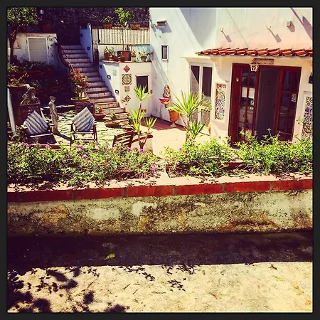 Mediterraneo Anacapri (Isola di Capri)