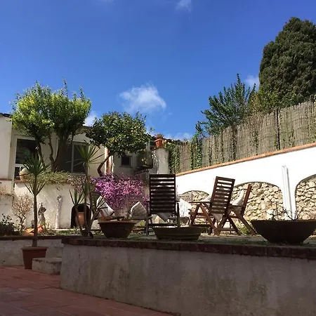 Frühstückspension Mediterraneo Anacapri (Isola di Capri)