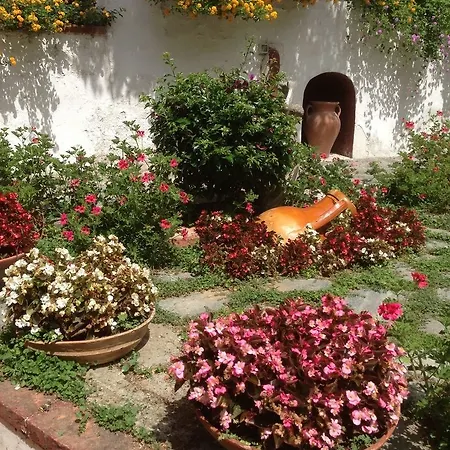Frühstückspension Mediterraneo Anacapri (Isola di Capri)