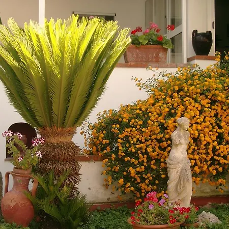Mediterraneo Frühstückspension 3*