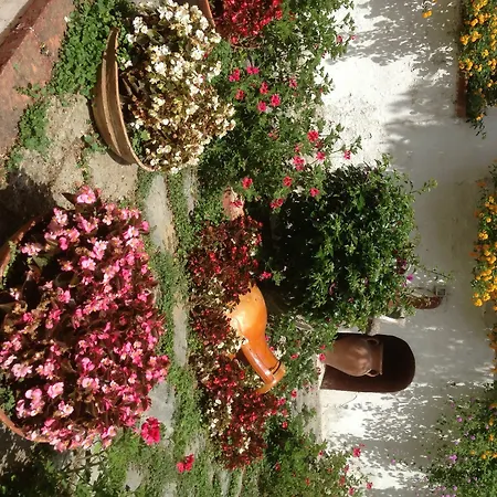 Mediterraneo 3*