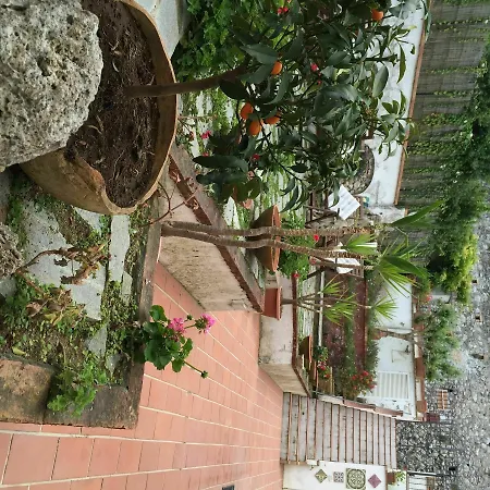 Bed & Breakfast Mediterraneo