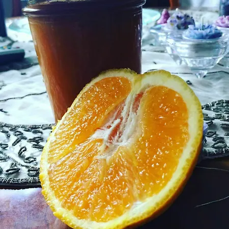 Mediterraneo